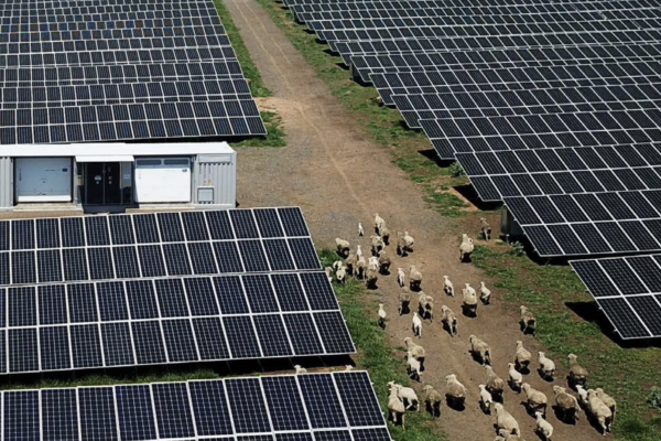 Energie solara si agricultura: cum poate fi folosita energia solara pentru irigatii si alte nevoi agricole