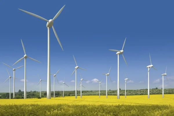 Cum funcționează sistemele de energie eoliană și cum se produc turbinele eoliene